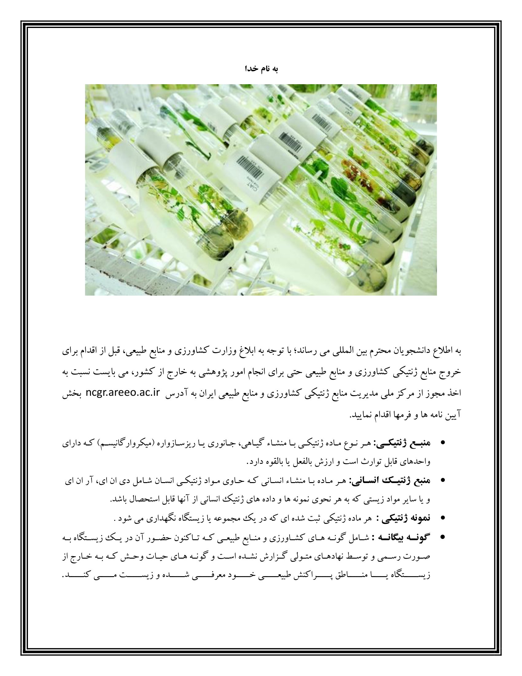 documentt